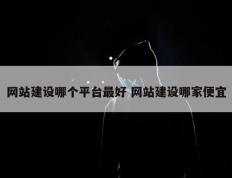 网站建设哪个平台最好 网站建设哪家便宜