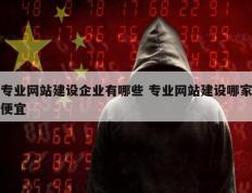专业网站建设企业有哪些 专业网站建设哪家便宜