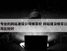 专业的网站建设公司哪家好 网站建设哪家公司比较好