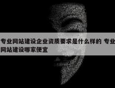 专业网站建设企业资质要求是什么样的 专业网站建设哪家便宜
