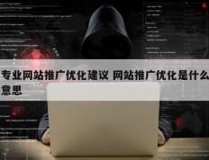 专业网站推广优化建议 网站推广优化是什么意思