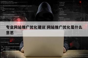 专业网站推广优化建议 网站推广优化是什么意思
