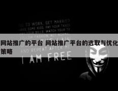 网站推广的平台 网站推广平台的选取与优化策略