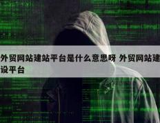 外贸网站建站平台是什么意思呀 外贸网站建设平台
