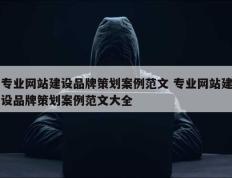 专业网站建设品牌策划案例范文 专业网站建设品牌策划案例范文大全