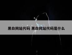 黑白网站代码 黑白网站代码是什么