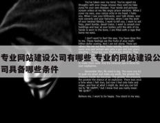 专业网站建设公司有哪些 专业的网站建设公司具备哪些条件