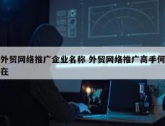 外贸网络推广企业名称 外贸网络推广高手何在