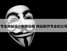 专业网站设计制作公司 网站制作专业的公司