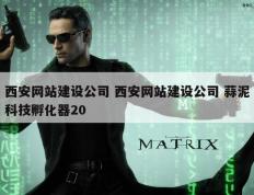 西安网站建设公司 西安网站建设公司 蒜泥科技孵化器20