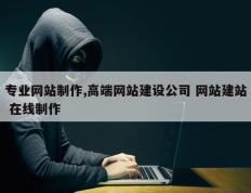 专业网站制作,高端网站建设公司 网站建站 在线制作