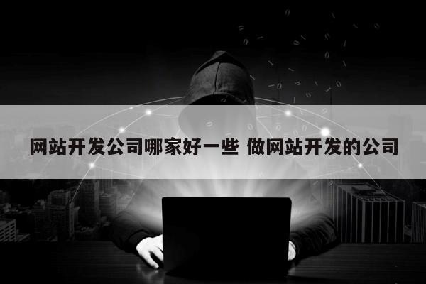 网站开发公司哪家好一些 做网站开发的公司