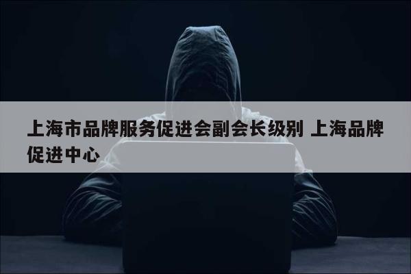 上海市品牌服务促进会副会长级别 上海品牌促进中心
