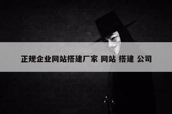正规企业网站搭建厂家 网站 搭建 公司