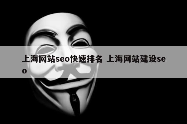 上海网站seo快速排名 上海网站建设seo