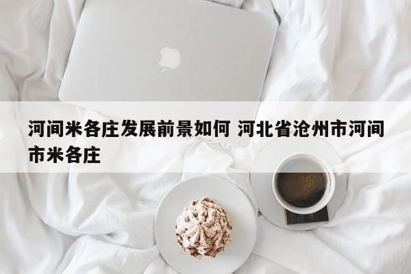 河间米各庄发展前景如何 河北省沧州市河间市米各庄