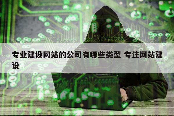 专业建设网站的公司有哪些类型 专注网站建设