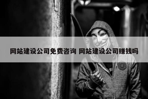 网站建设公司免费咨询 网站建设公司赚钱吗