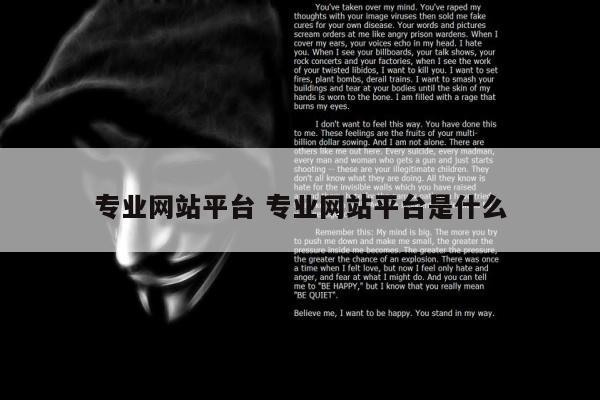 专业网站平台 专业网站平台是什么
