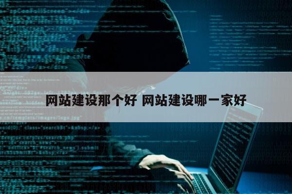 网站建设那个好 网站建设哪一家好