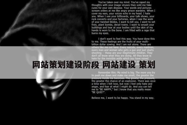 网站策划建设阶段 网站建设 策划