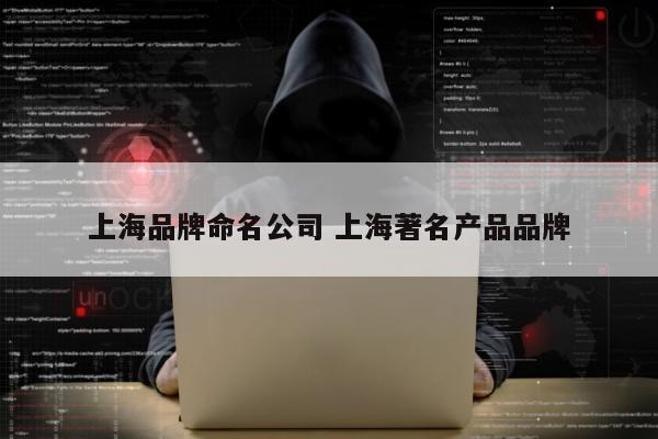 上海品牌命名公司 上海著名产品品牌