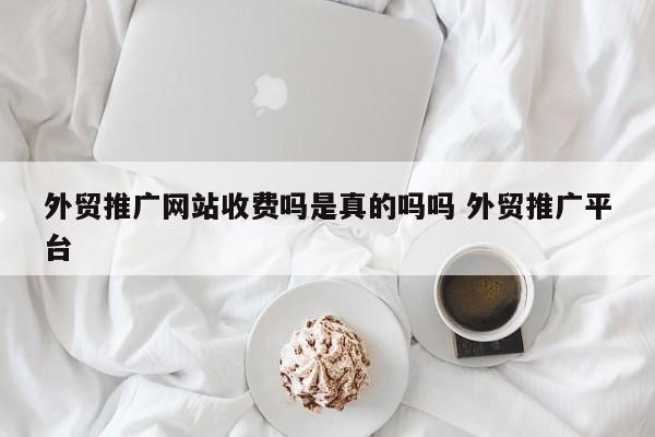 外贸推广网站收费吗是真的吗吗 外贸推广平台
