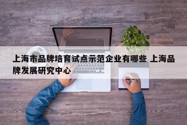 上海市品牌培育试点示范企业有哪些 上海品牌发展研究中心