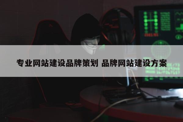 专业网站建设品牌策划 品牌网站建设方案