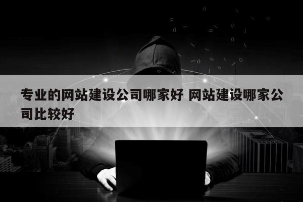 专业的网站建设公司哪家好 网站建设哪家公司比较好