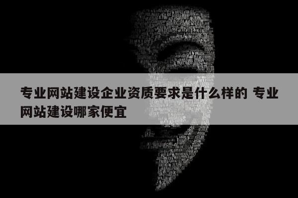 专业网站建设企业资质要求是什么样的 专业网站建设哪家便宜