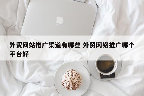 外贸网站推广渠道有哪些 外贸网络推广哪个平台好