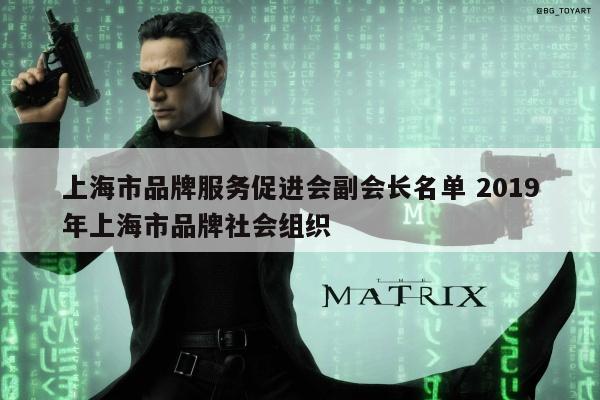 上海市品牌服务促进会副会长名单 2019年上海市品牌社会组织