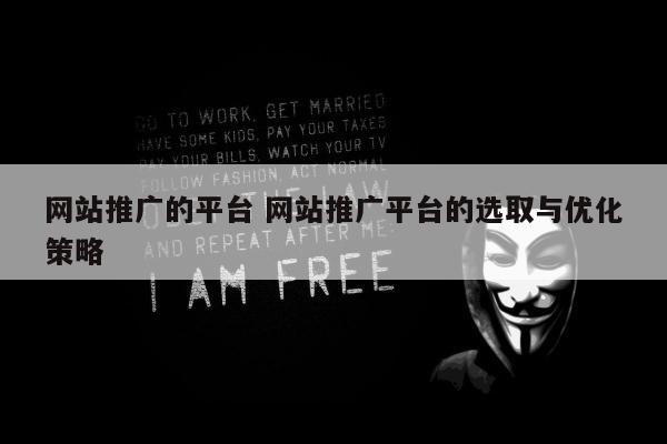 网站推广的平台 网站推广平台的选取与优化策略