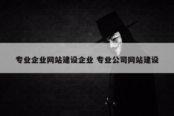 专业企业网站建设企业 专业公司网站建设