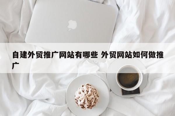 自建外贸推广网站有哪些 外贸网站如何做推广