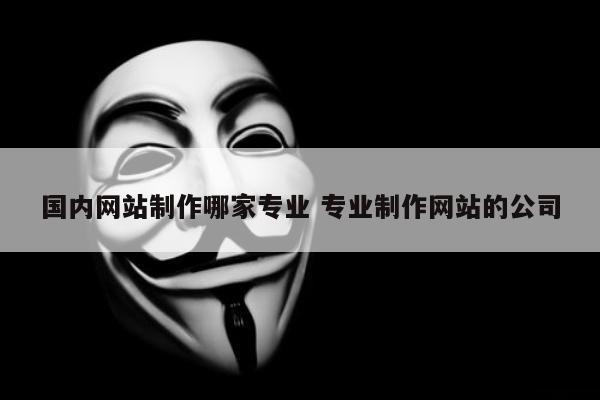 国内网站制作哪家专业 专业制作网站的公司