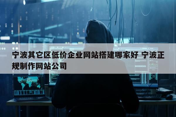 宁波其它区低价企业网站搭建哪家好 宁波正规制作网站公司