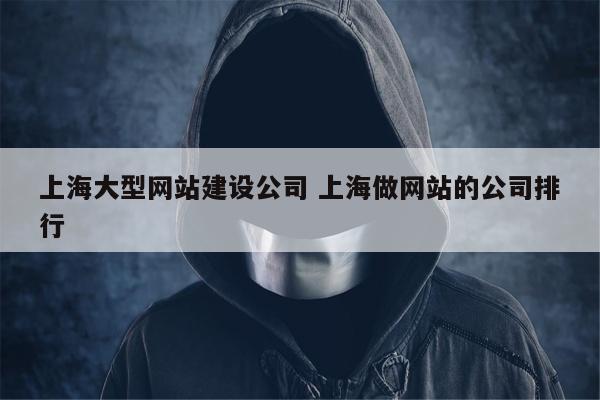 上海大型网站建设公司 上海做网站的公司排行