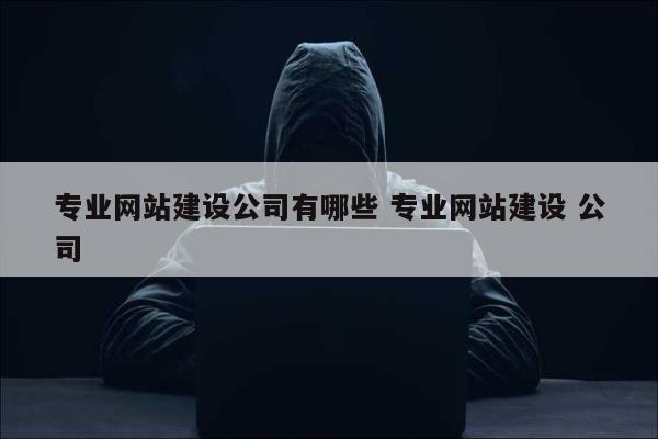 专业网站建设公司有哪些 专业网站建设 公司