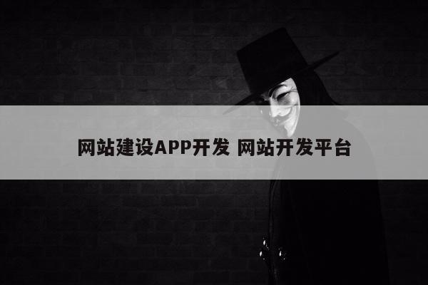 网站建设APP开发 网站开发平台