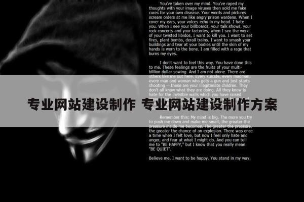 专业网站建设制作 专业网站建设制作方案