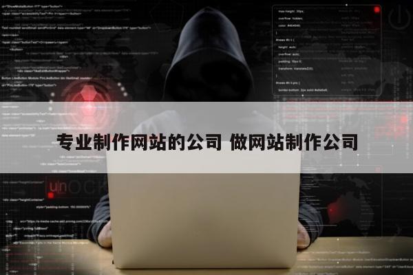 专业制作网站的公司 做网站制作公司