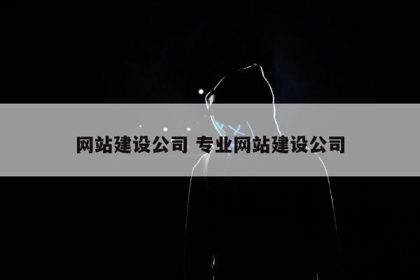 网站建设公司 专业网站建设公司