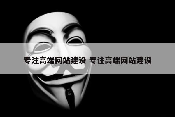专注高端网站建设 专注高端网站建设