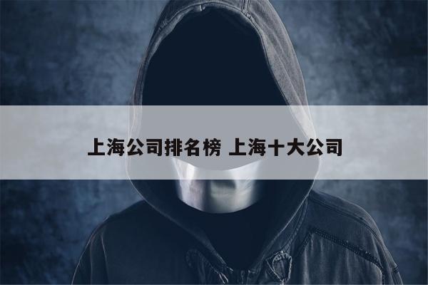 上海公司排名榜 上海十大公司