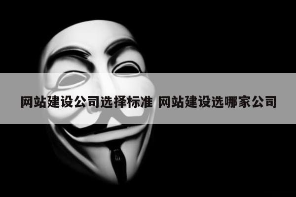 网站建设公司选择标准 网站建设选哪家公司