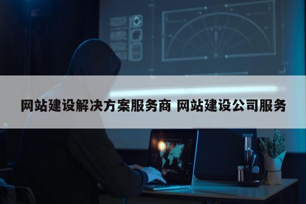 网站建设解决方案服务商 网站建设公司服务