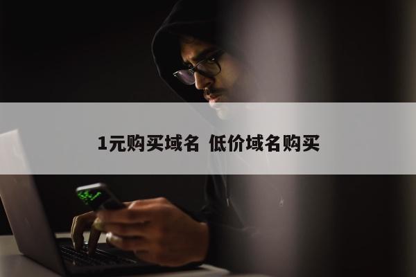 1元购买域名 低价域名购买