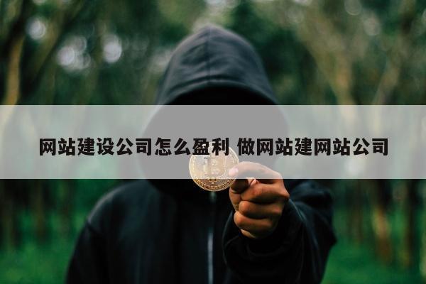 网站建设公司怎么盈利 做网站建网站公司